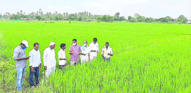 కుమురం భీం3