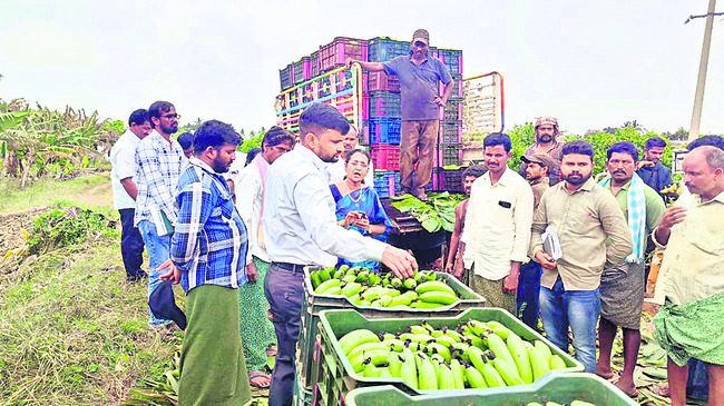 ఆలరించిన ‘సాయి కథ’ 1