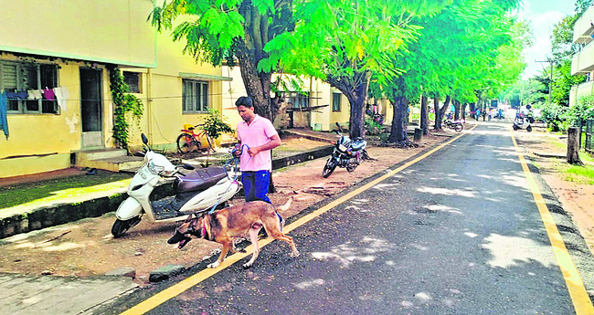 సెల్‌ఫోన్‌ డ్రైవింగ్‌ చేస్తే లైసెన్స్‌ రద్దు 2