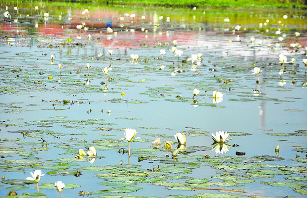 తాగి నడిపితే జైలుకే.. 1