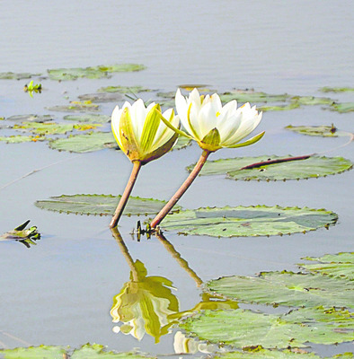 తాగి నడిపితే జైలుకే.. 2