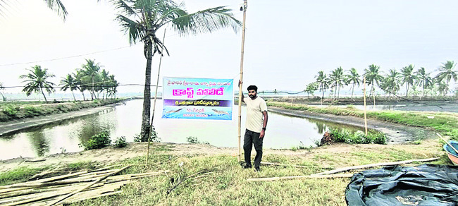 ఏం చేశారని.. మా కోసం 5