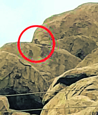 కొండపై చిరుత ప్రత్యక్షం  3