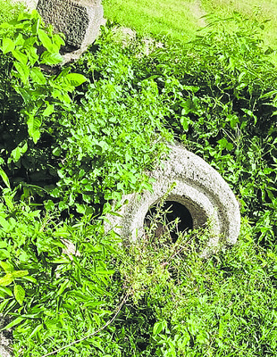 పురాతన రాతి నూనె గానుగలు1