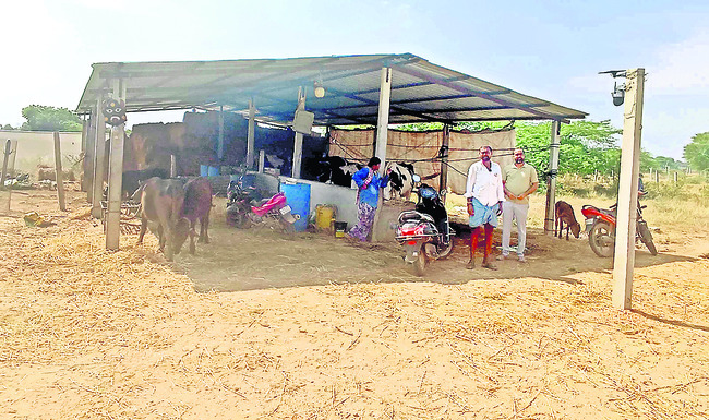 బాయికాడ బందోబస్తు3