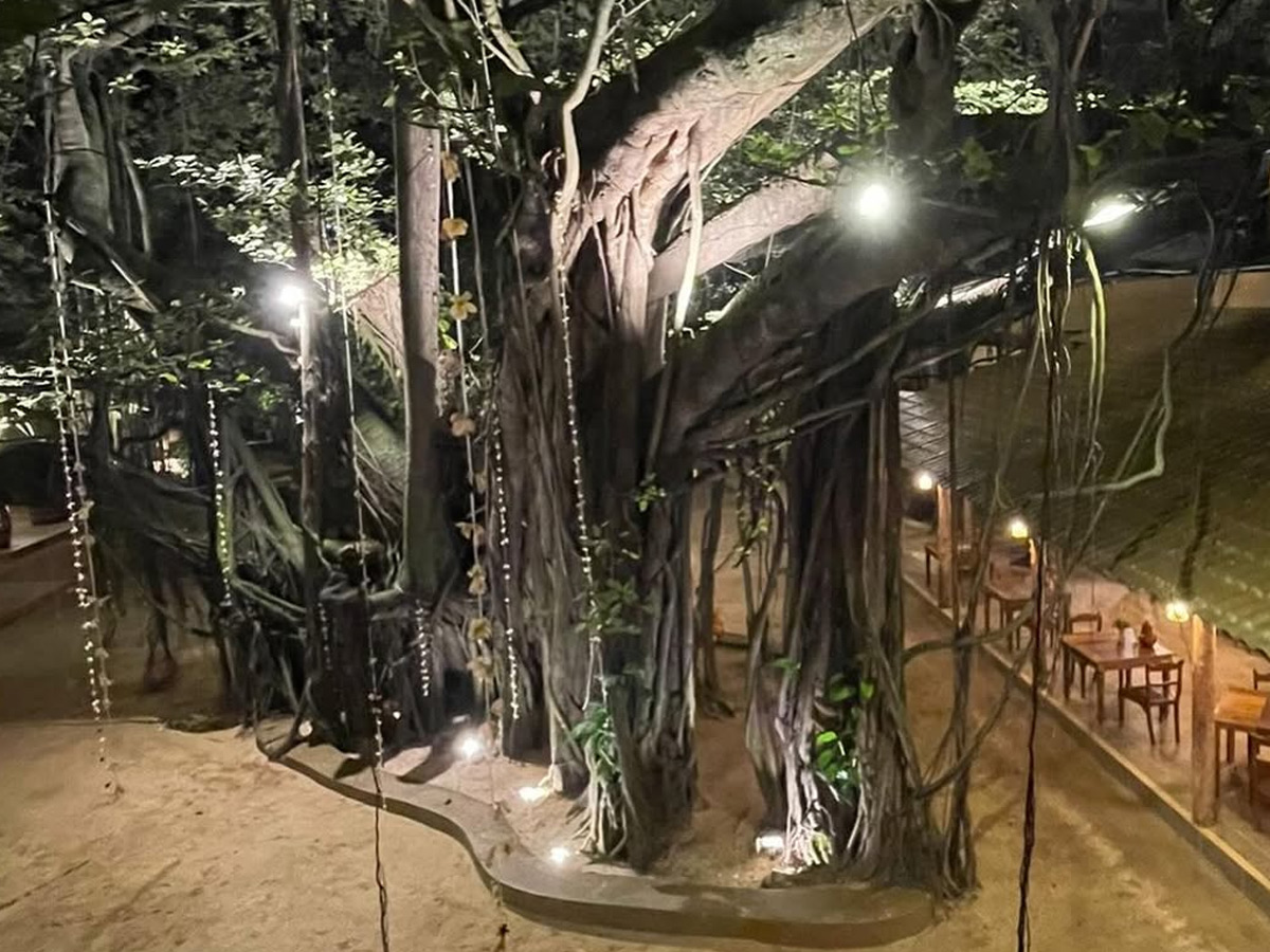 Geeta Basra And Harbhajan shine At friend birthday party Photos12