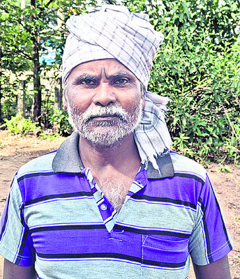 అరకొరగా దాణా..  
3