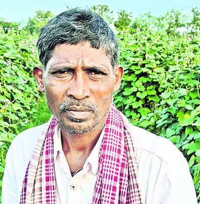 అరకొరగా దాణా..  
4