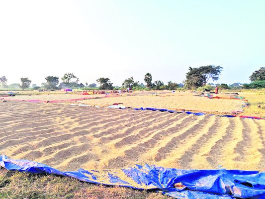 కొనట్లే..1