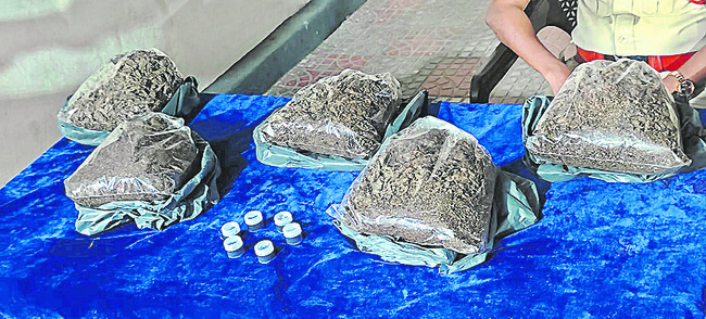 మాచర్లలో గంజాయి స్వాధీనం 1