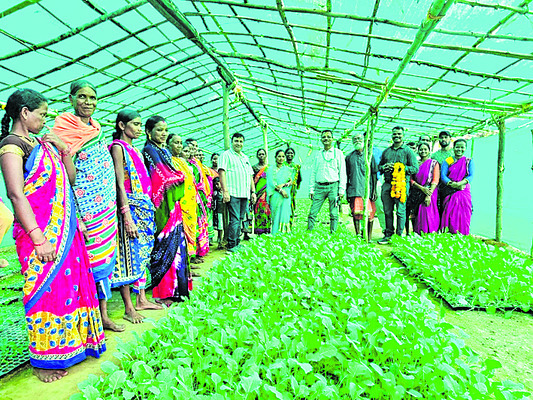 కొరాపుట్‌లో బిష్ణు ప్రసాద్‌ పర్యటన 2