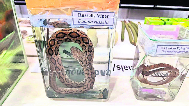 తూర్పు కనుమలపై ప్రత్యేక పరిశోధన1