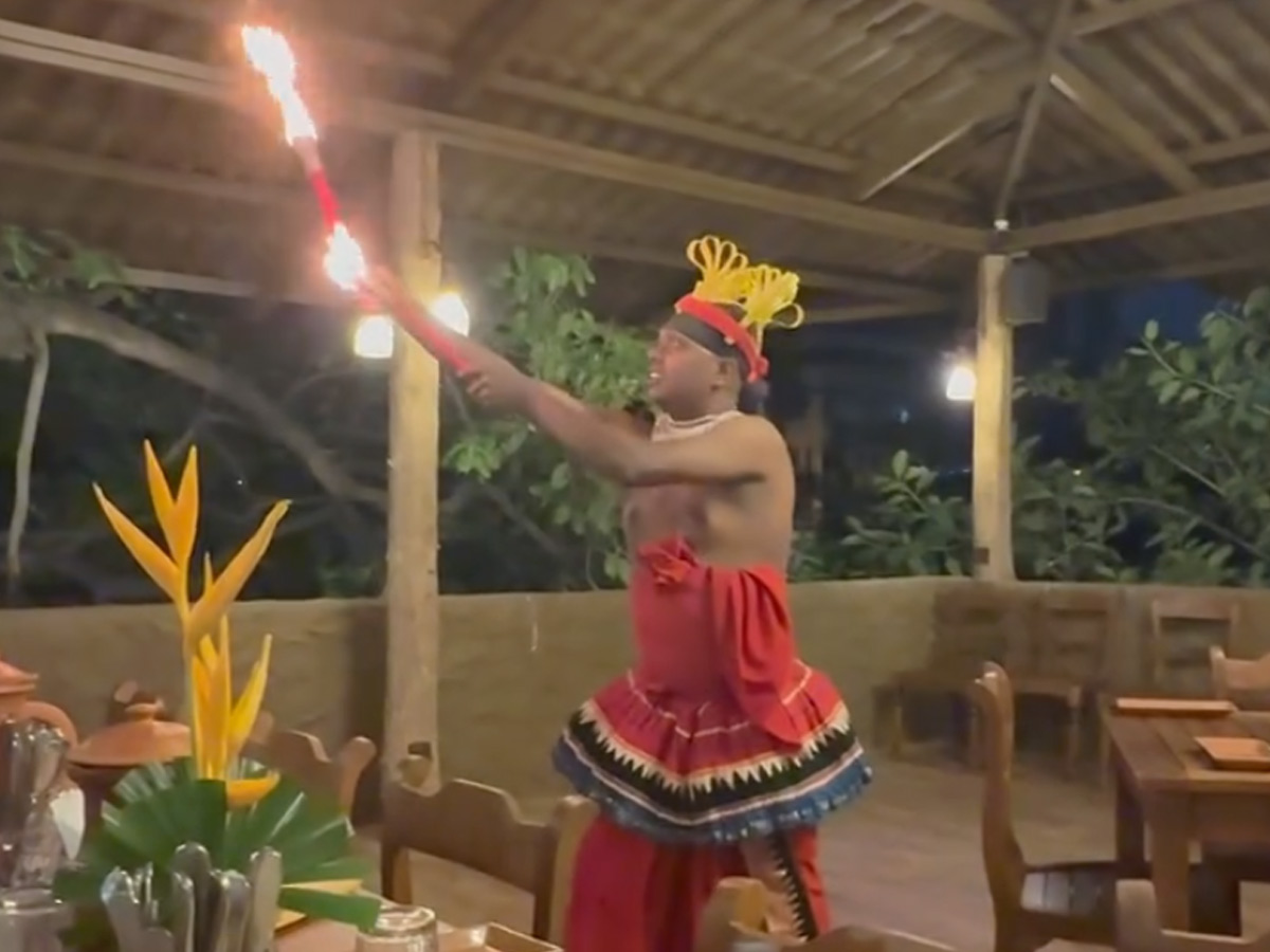 Geeta Basra And Harbhajan shine At friend birthday party Photos4