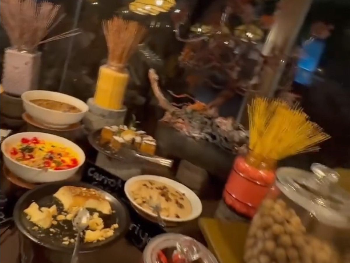 Geeta Basra And Harbhajan shine At friend birthday party Photos8