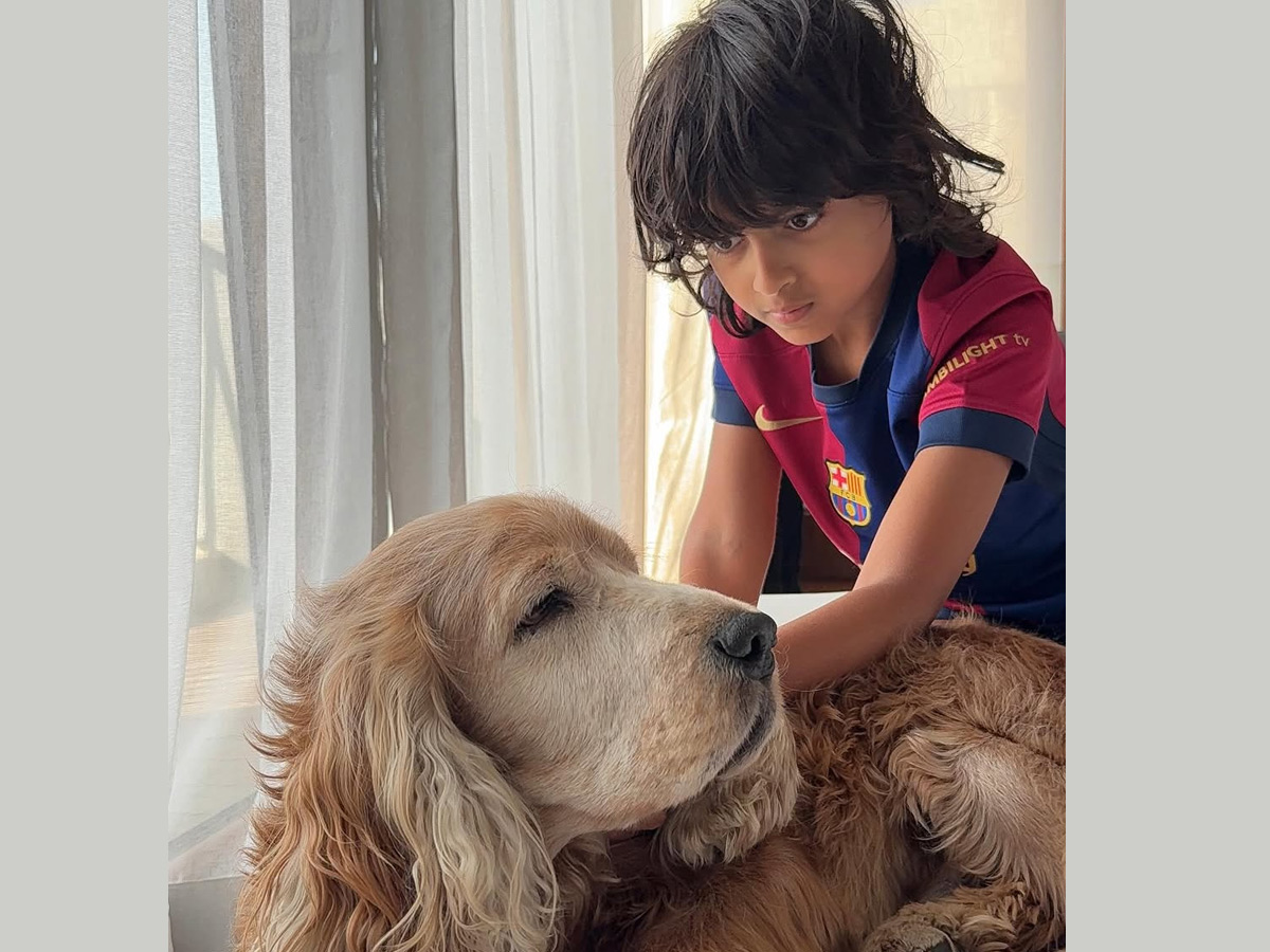 Have Seen Actress Genelia family? Photos9