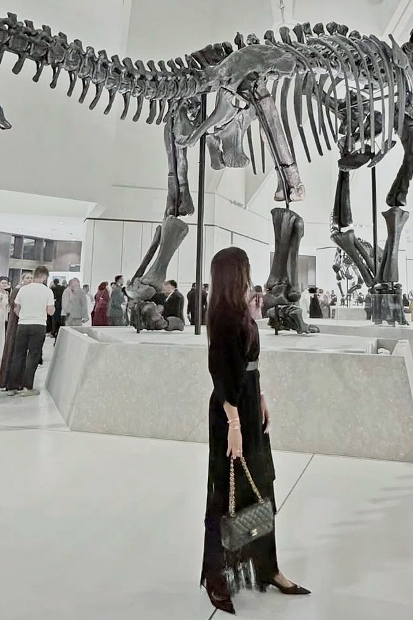 Icon Star Allu Arjun Wife Sneha Reddy At Dubai Museum Photos2