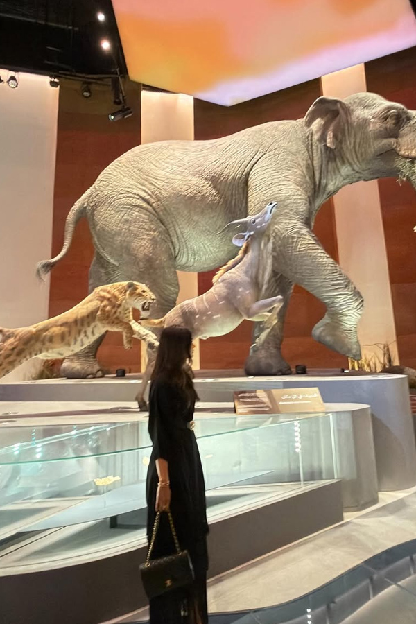 Icon Star Allu Arjun Wife Sneha Reddy At Dubai Museum Photos4