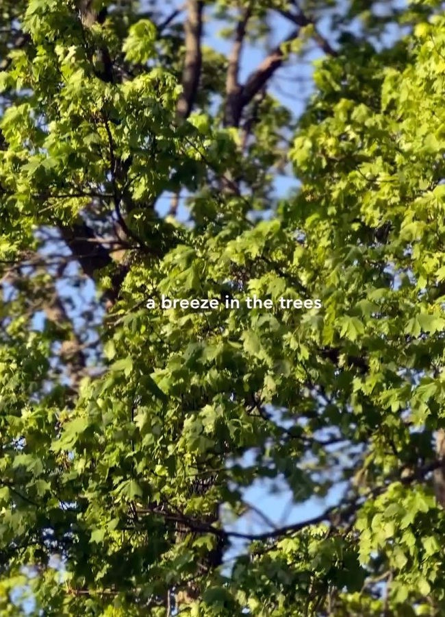 rukmini vasanth shared 10 habbits into her life8