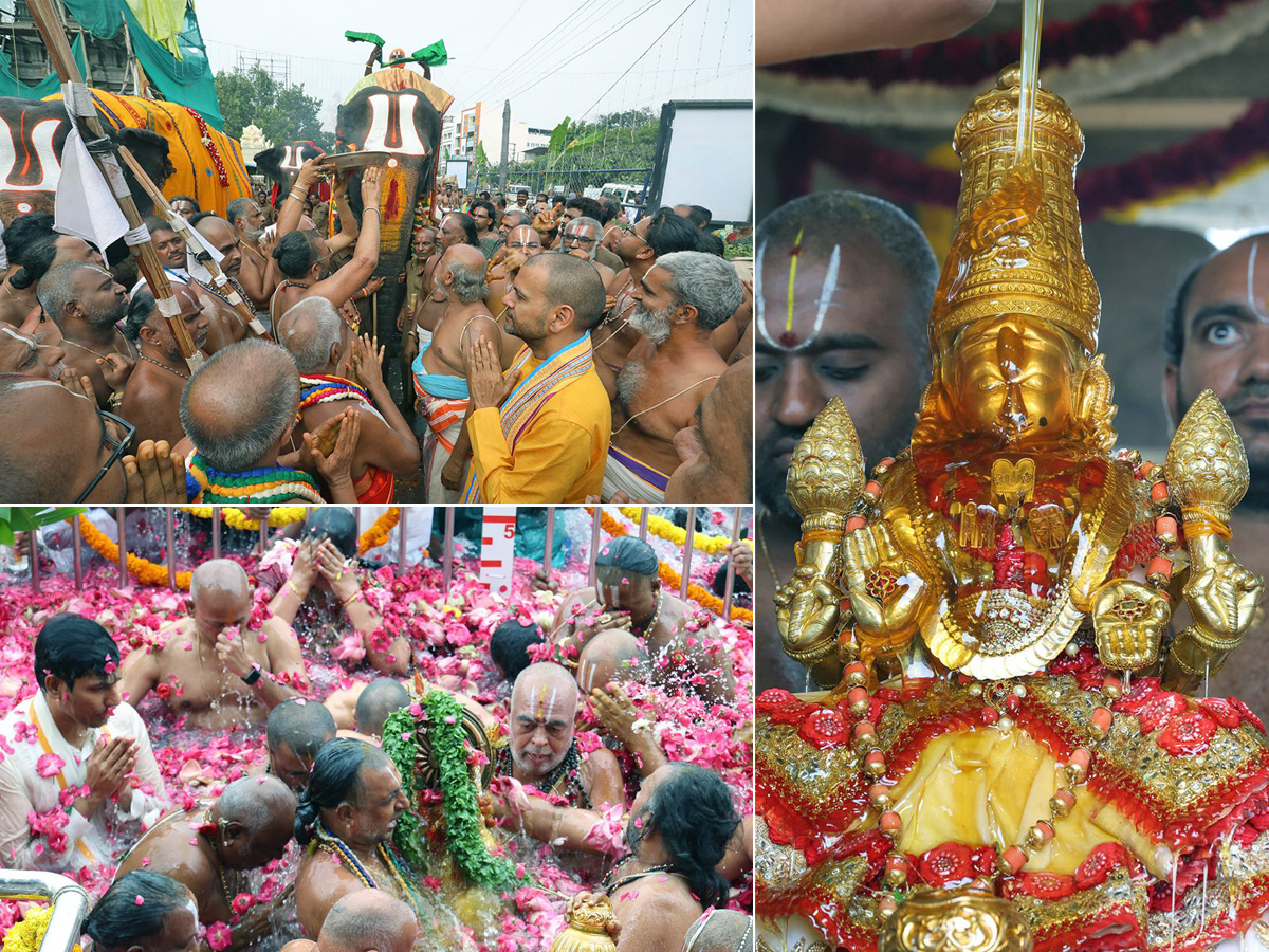 Tiruchanoor Panchami Theertham Photos1