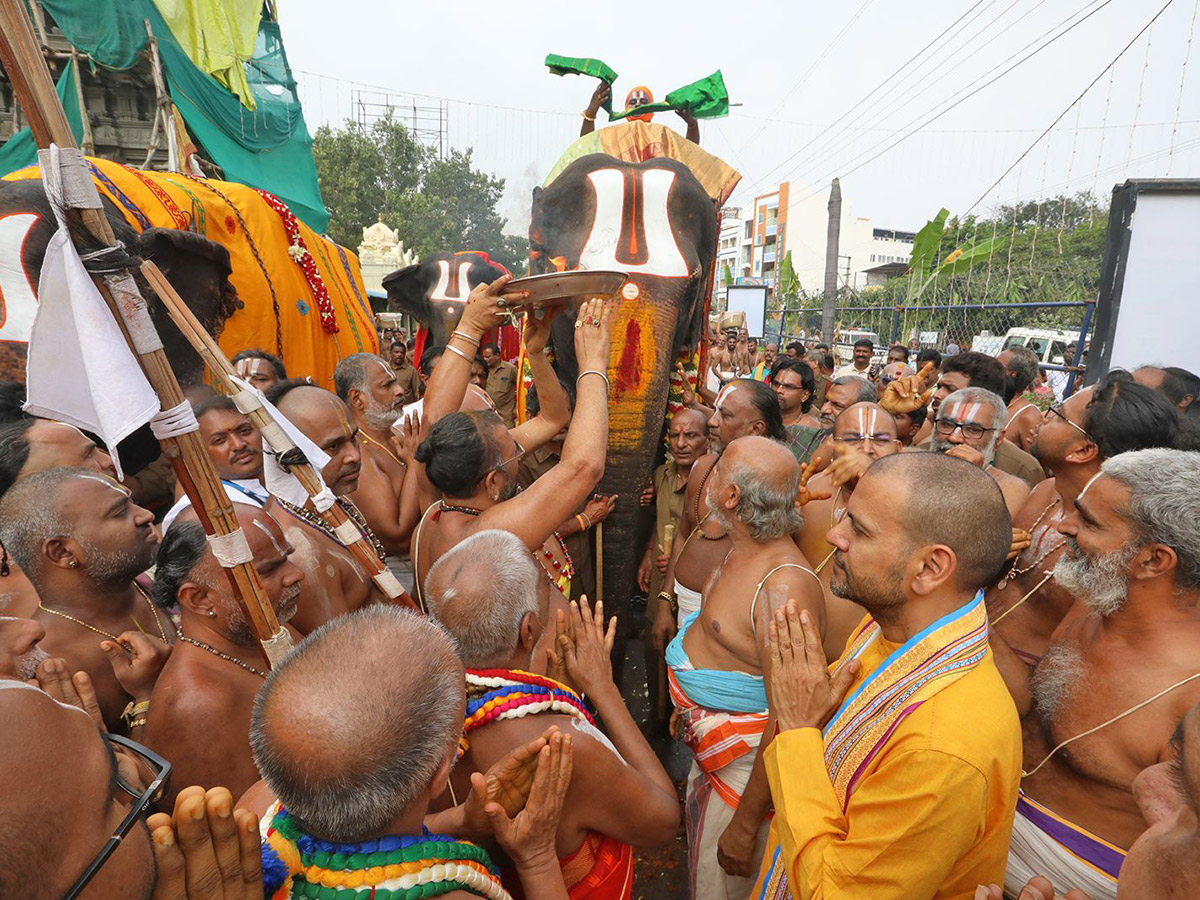Tiruchanoor Panchami Theertham Photos10