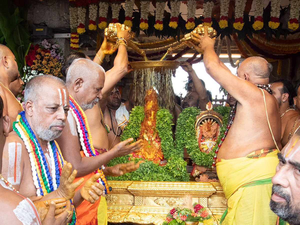 Tiruchanoor Panchami Theertham Photos12
