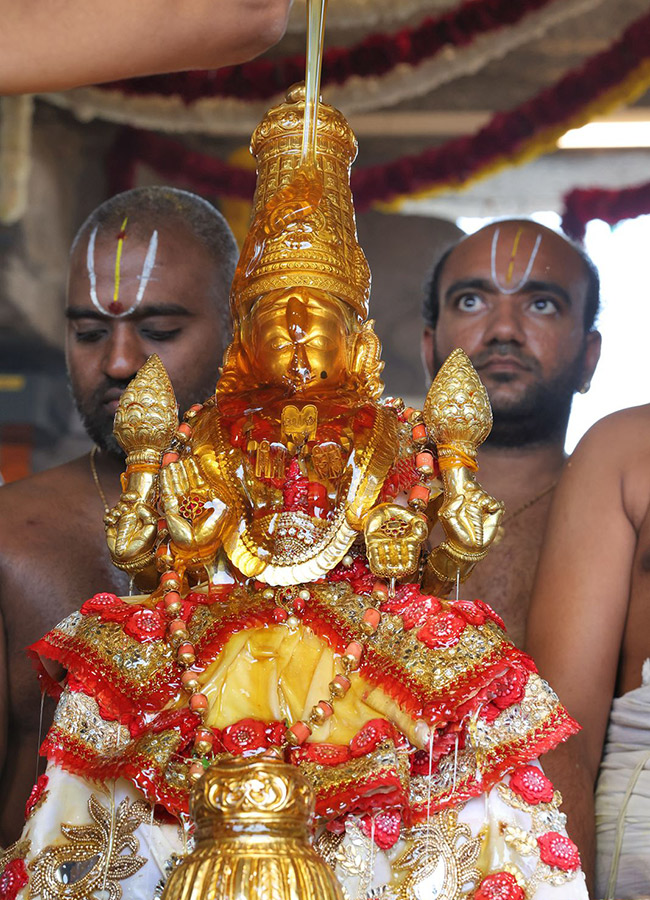 Tiruchanoor Panchami Theertham Photos17