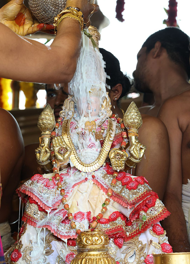 Tiruchanoor Panchami Theertham Photos18