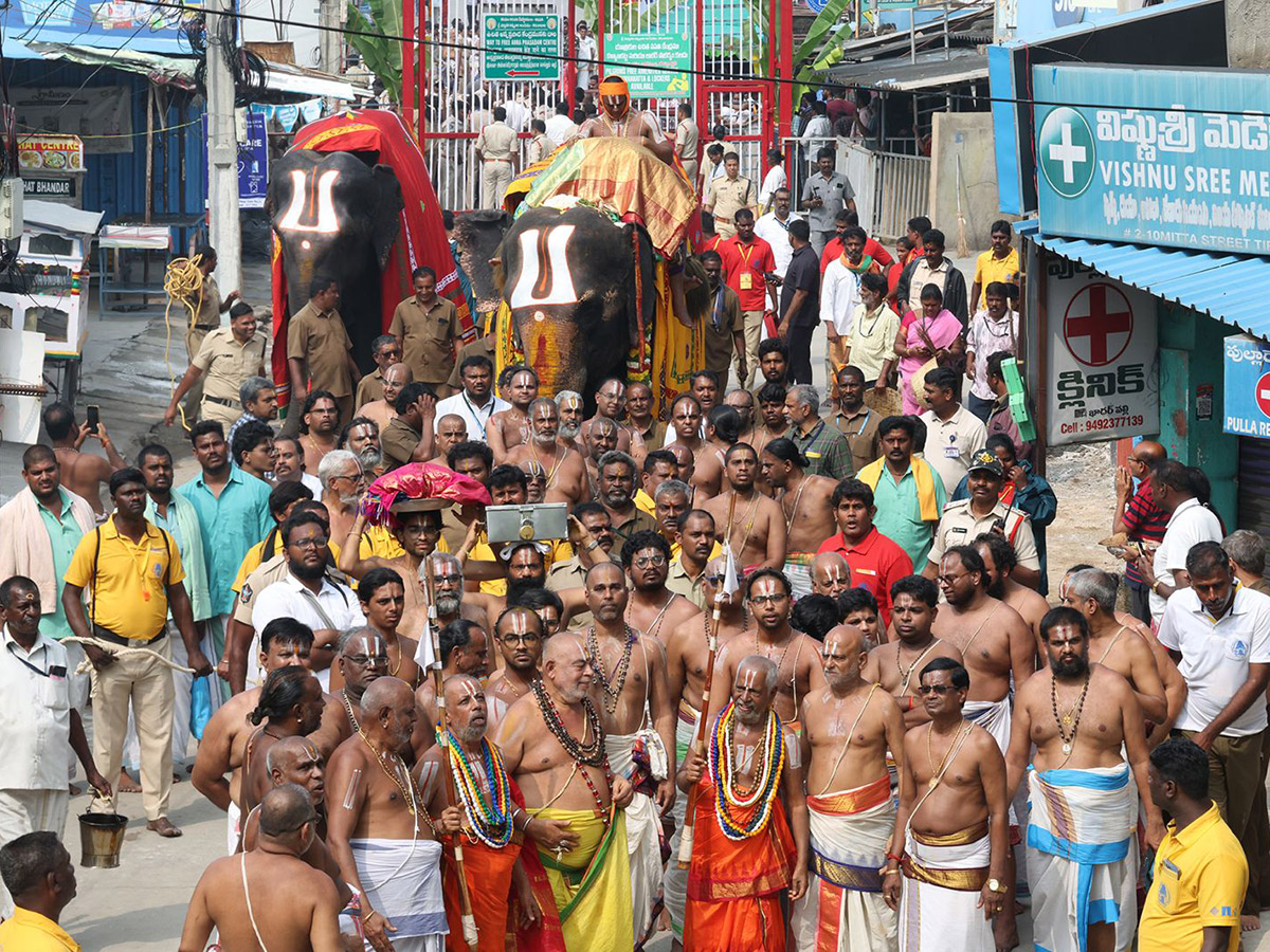 Tiruchanoor Panchami Theertham Photos9