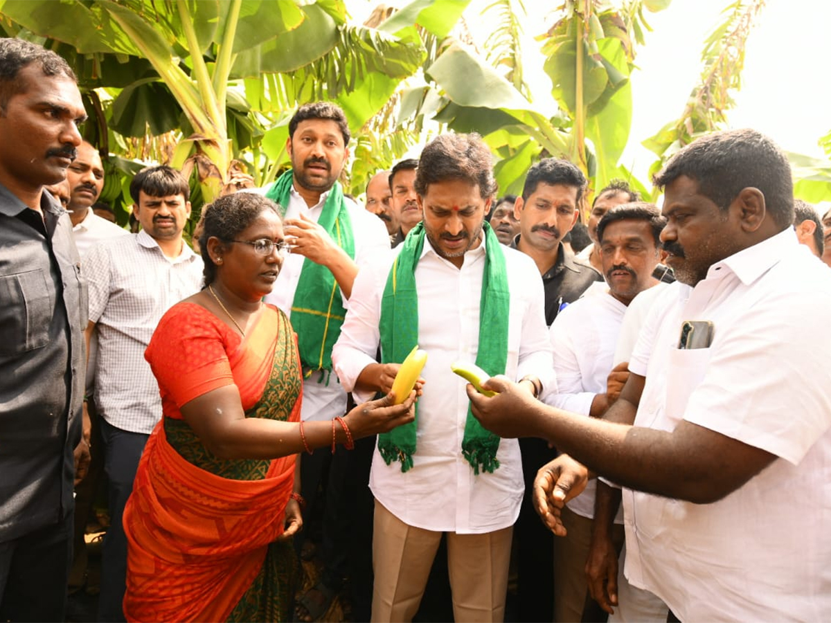 YS Jagan Visit Banana Farmers At Brahmanapalli Photos12