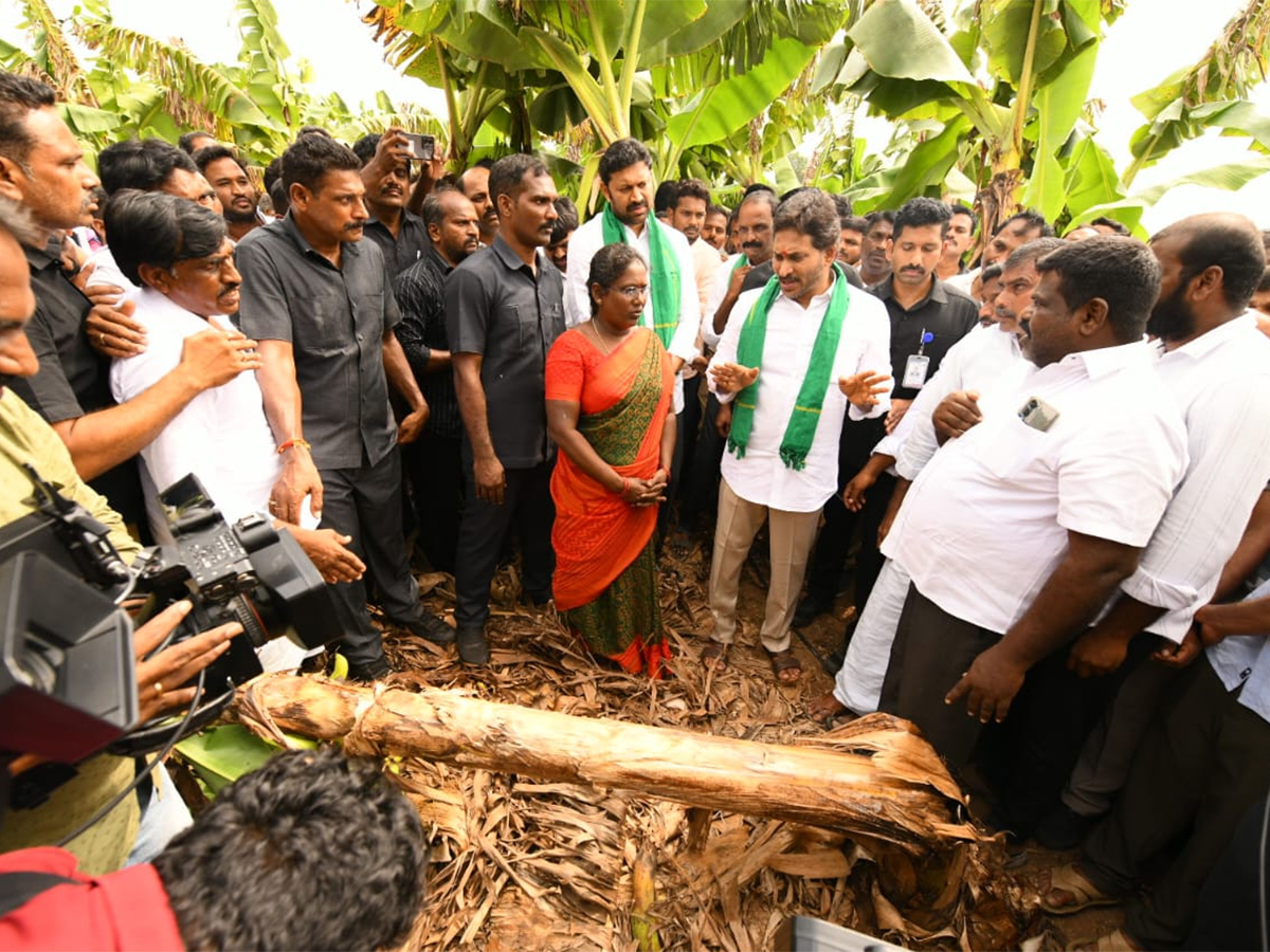 YS Jagan Visit Banana Farmers At Brahmanapalli Photos13