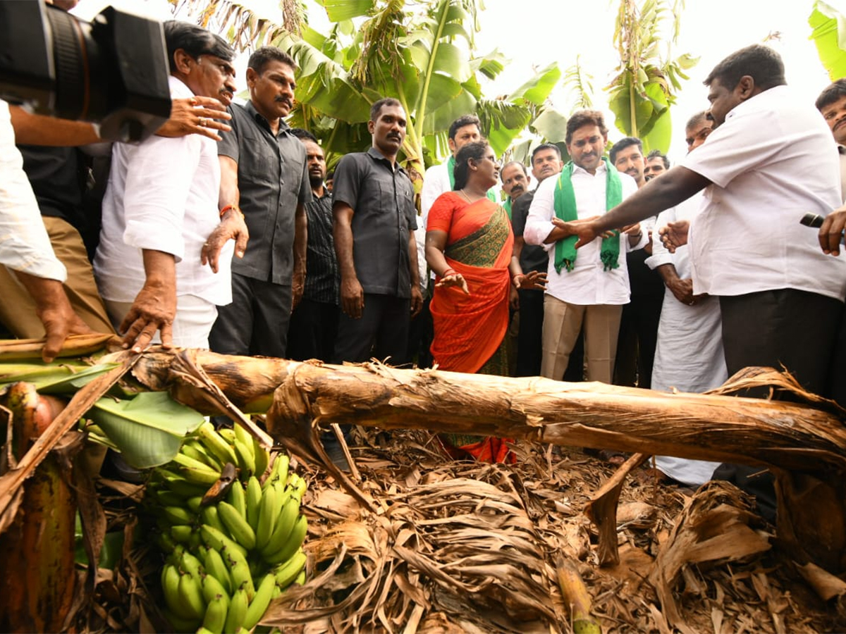 YS Jagan Visit Banana Farmers At Brahmanapalli Photos16