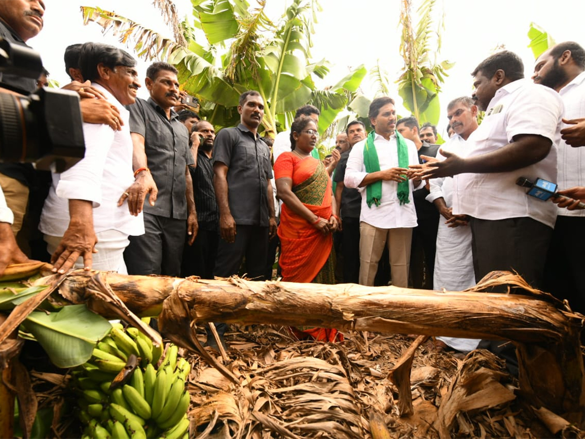 YS Jagan Visit Banana Farmers At Brahmanapalli Photos17