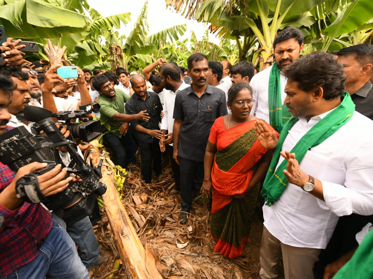 YS Jagan Visit Banana Farmers At Brahmanapalli Photos18