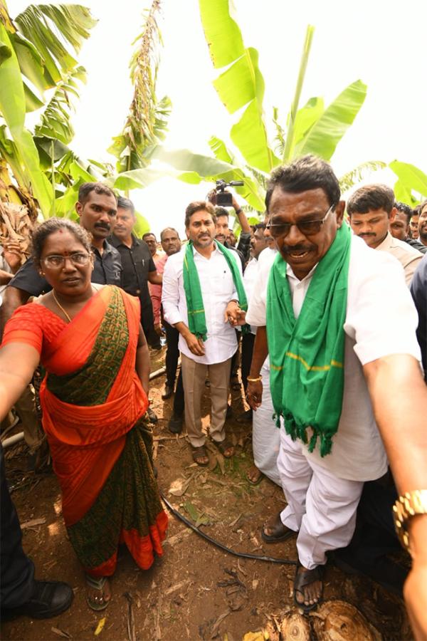 YS Jagan Visit Banana Farmers At Brahmanapalli Photos20