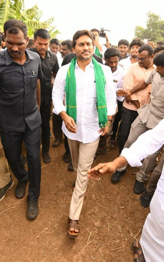 YS Jagan Visit Banana Farmers At Brahmanapalli Photos22