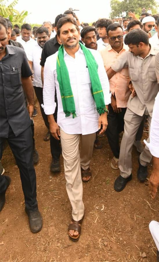 YS Jagan Visit Banana Farmers At Brahmanapalli Photos23
