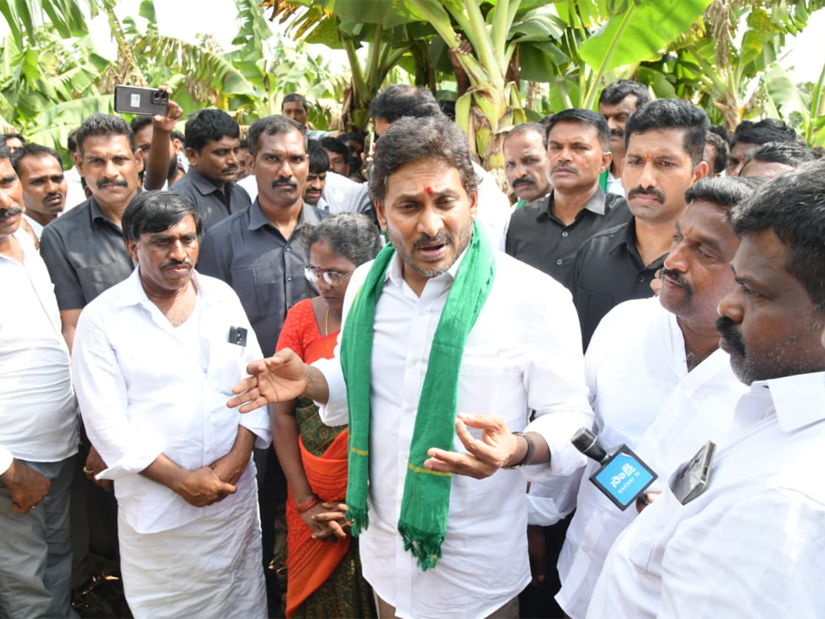 YS Jagan Visit Banana Farmers At Brahmanapalli Photos24