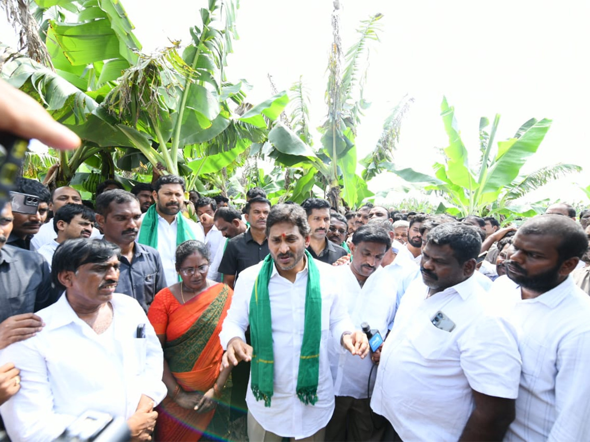 YS Jagan Visit Banana Farmers At Brahmanapalli Photos3