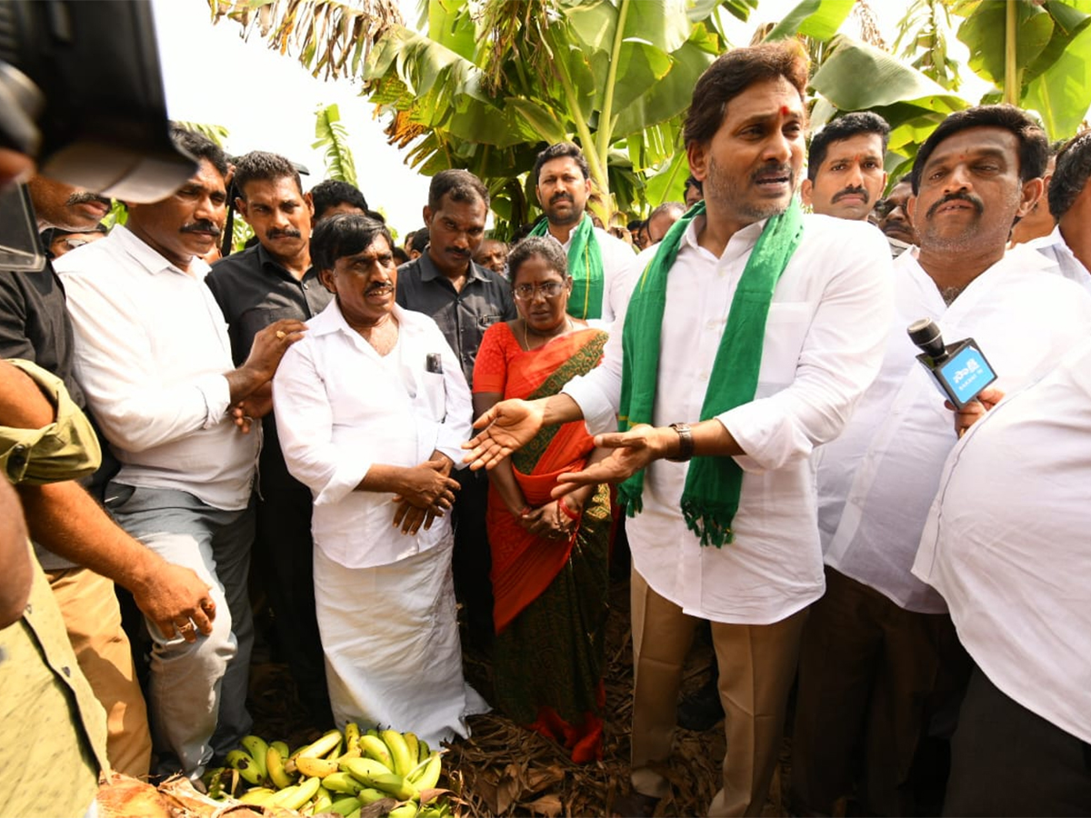 YS Jagan Visit Banana Farmers At Brahmanapalli Photos4