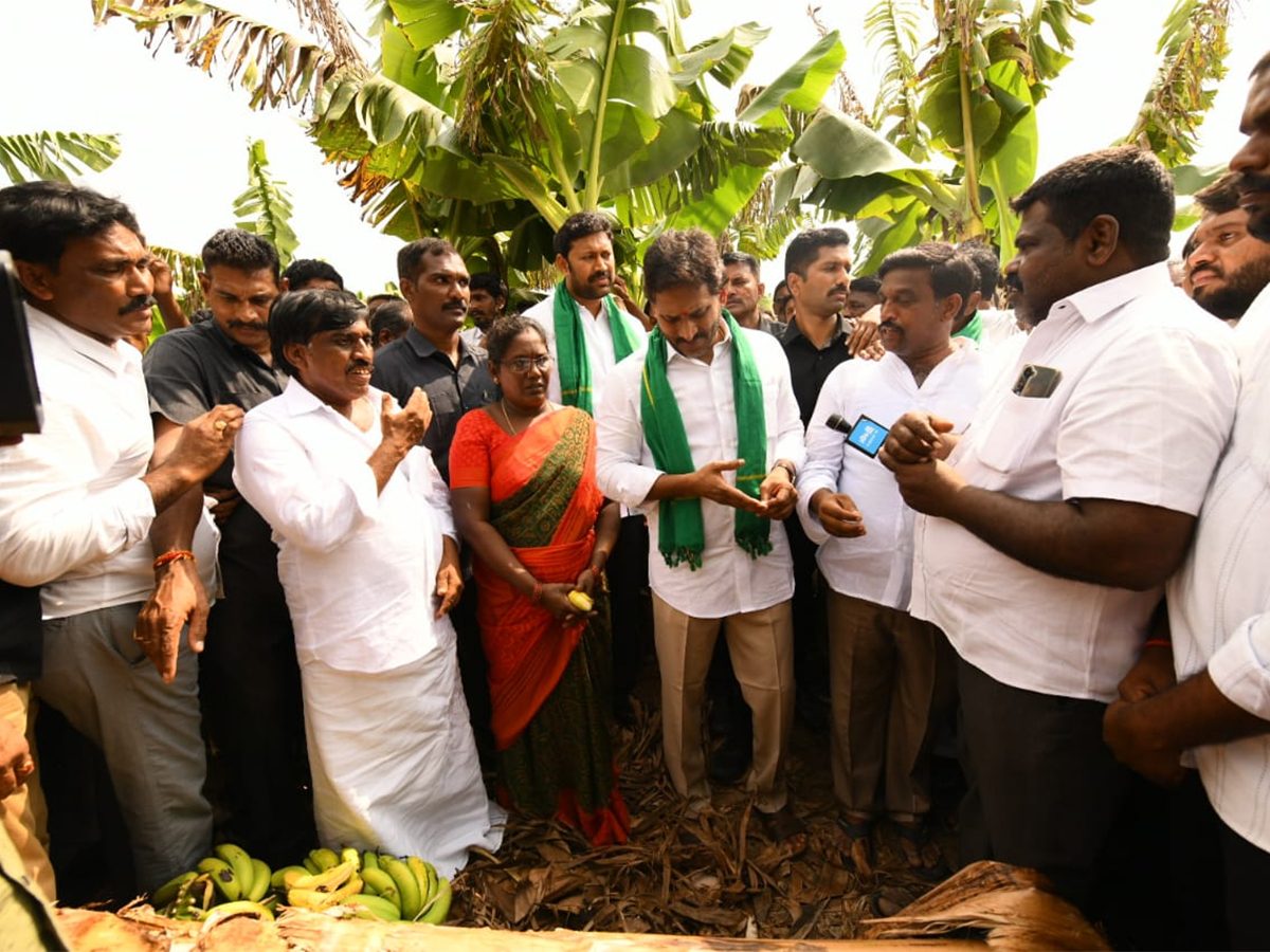 YS Jagan Visit Banana Farmers At Brahmanapalli Photos5