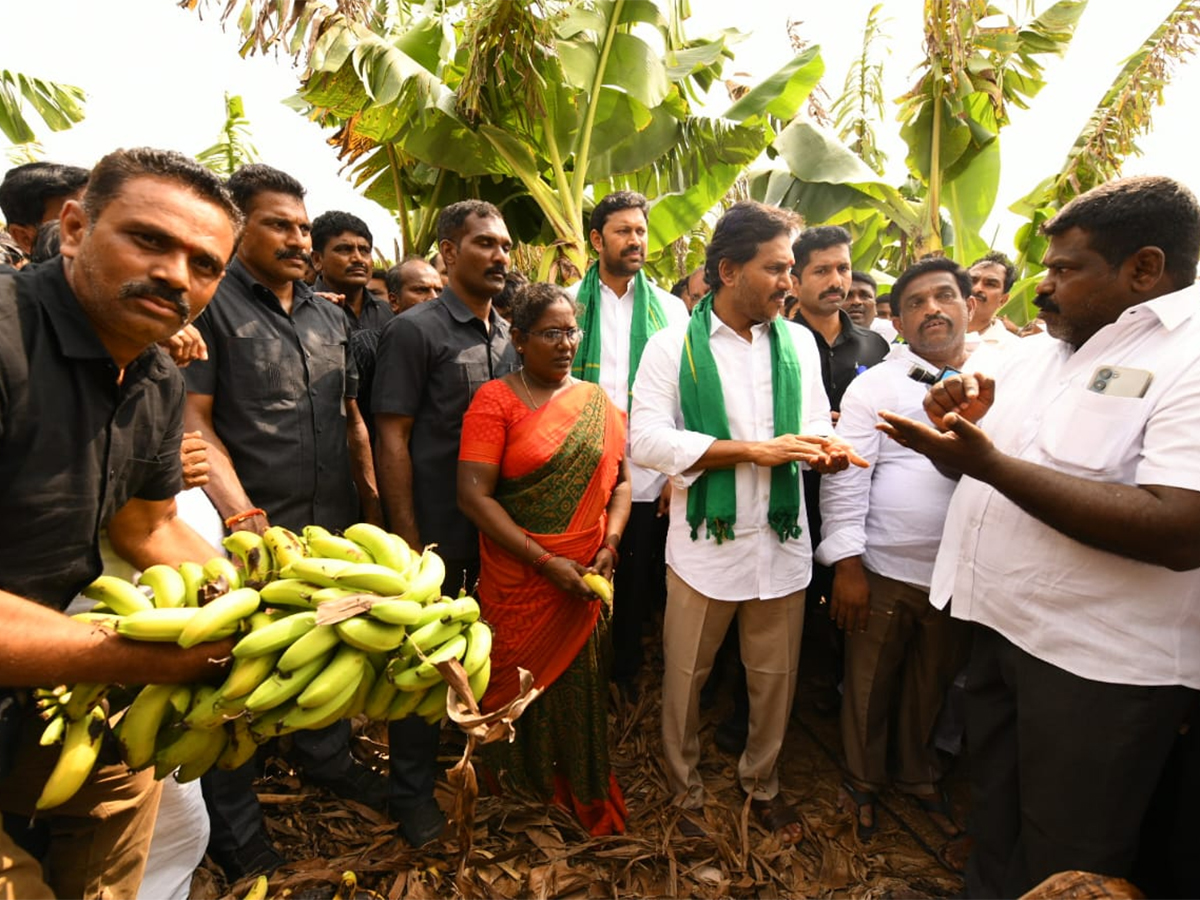 YS Jagan Visit Banana Farmers At Brahmanapalli Photos6