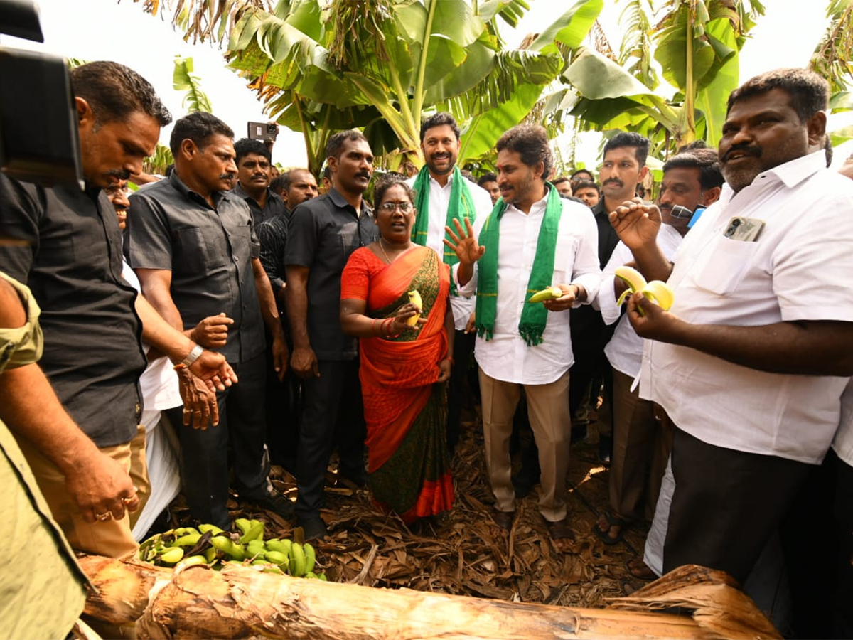 YS Jagan Visit Banana Farmers At Brahmanapalli Photos7