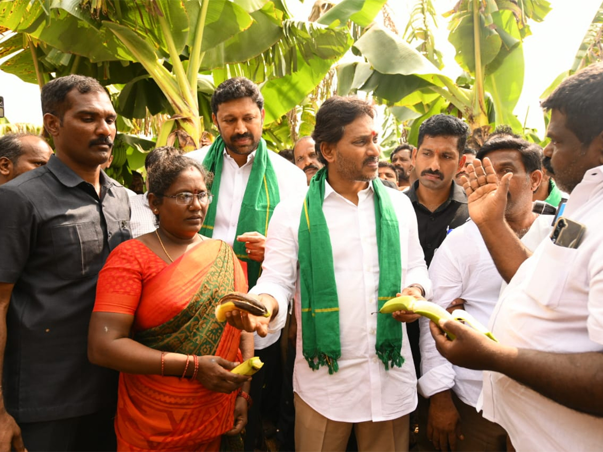 YS Jagan Visit Banana Farmers At Brahmanapalli Photos9