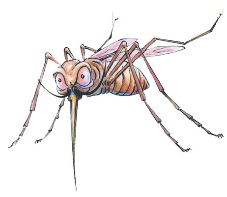 దోమల విజృంభణ1