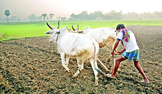 చంద్రన్నా.. రైతును ముంచావన్నా..! 2