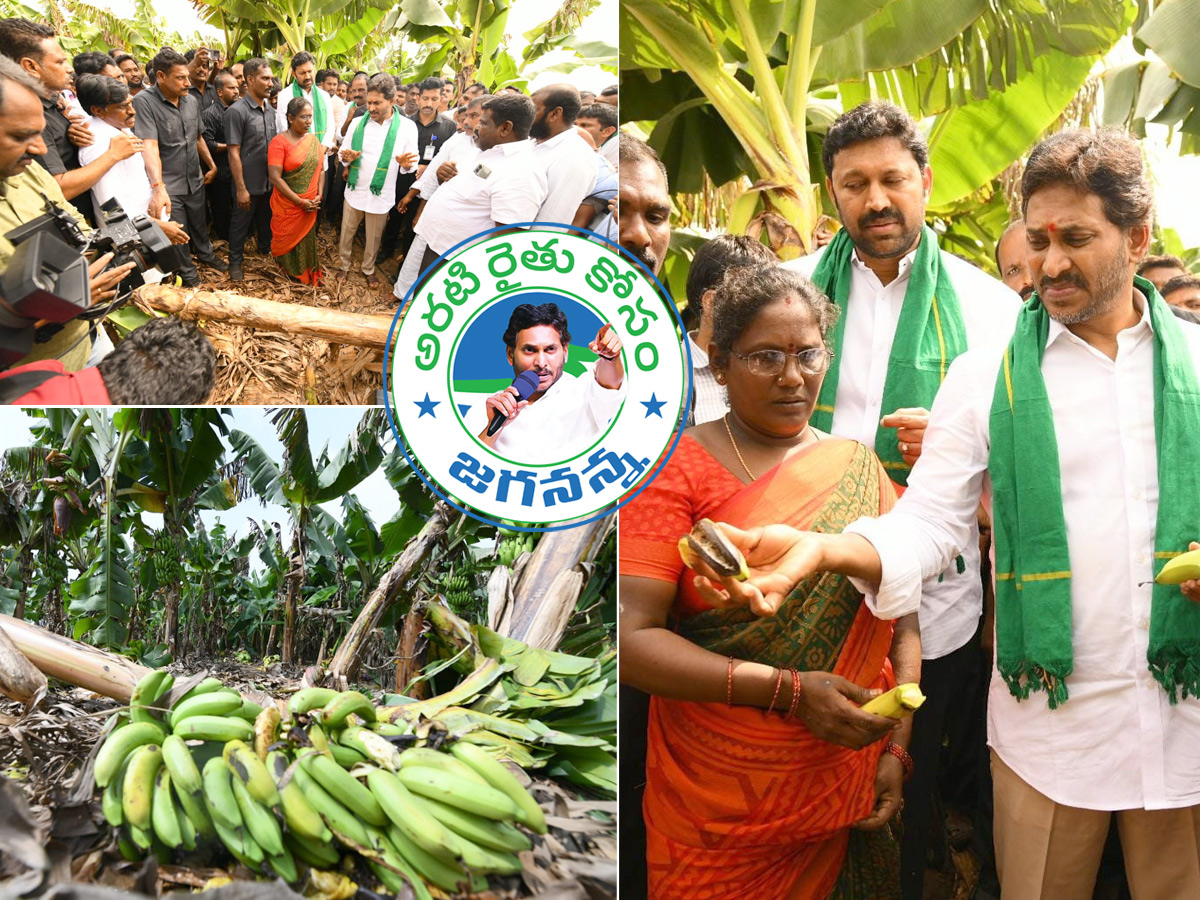 YS Jagan Visit Banana Farmers At Brahmanapalli Photos1