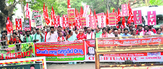 నూజివీడు మార్కెట్‌లోకి చిన్న రసాలు  
2