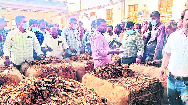 నోబిడ్‌పై రైతుల ఆగ్రహం 1