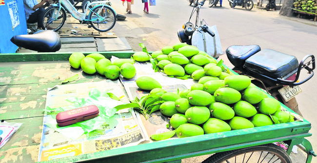 నూజివీడు మార్కెట్‌లోకి చిన్న రసాలు  
1