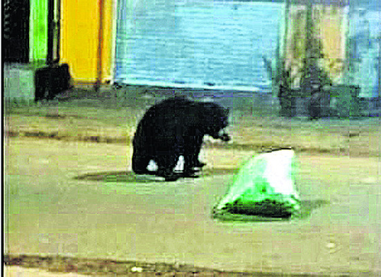 శ్రీ గుండిచా ఆలయం ప్రవేశానికి సర్వం సిద్ధం 2